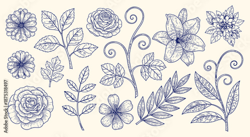 Detailed botanical hand drawn illustration collection features various blooming flowers like roses lilies and daisy like blossoms alongside diverse leafy sprigs and decorative swirling vines in a