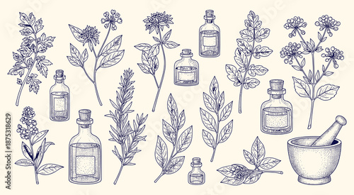 Vintage hand drawn botanical illustrations depict various medicinal plants, aromatic herbs, diverse leaves, glass essential oil bottles, and a traditional mortar and pestle arrangement on a neutral