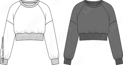 Cropped sweatshirt sketch, long sleeves, ribbed cuffs and hem, gathered waistband, fashion design layout, flat vector illustration