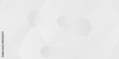 Hexagon white gray wave light technology texture background. Abstract big data digital concept simple art modern abstract