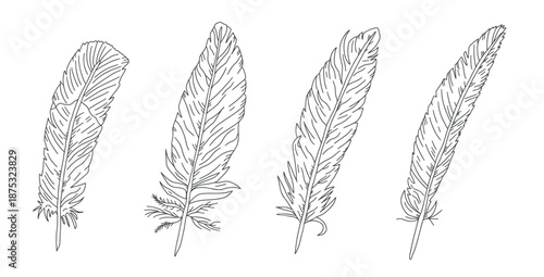 Feathers sketch scribbles set. Elegant quill illustration with detailed ink artwork. Vintage-inspired sketch featuring decorative plume design, perfect for tattoo art and creative graphic project.