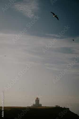 Lighthouse and Seabirds in Iceland
