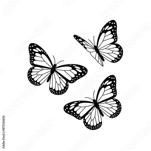 three black and white butterflies on a white background