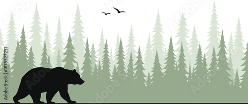 Black bear silhouette walking through misty pine forest with flying birds, green evergreen tree woods landscape vector illustration, wild animal nature background