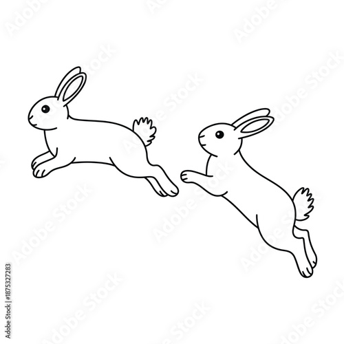 two rabbits are jumping in the air with white background