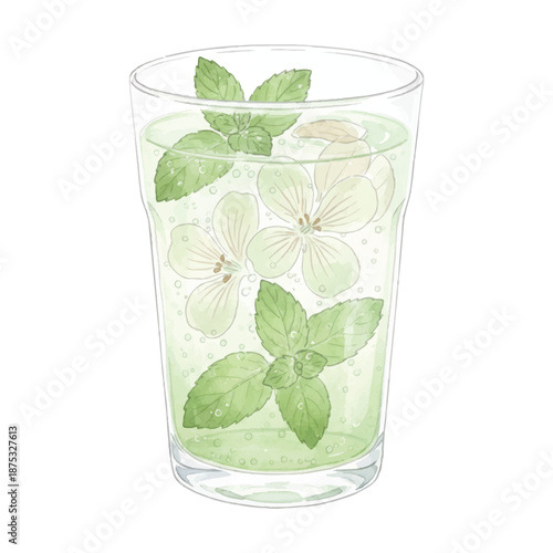 Mint and Geranium Soda Watercolor Illustration, Fresh Herbal Floral Mocktail, Hand Painted Vector Isolated on White
