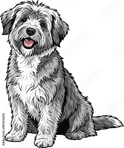 Polish Lowland Sheepdog sitting happy cute cheerful pose