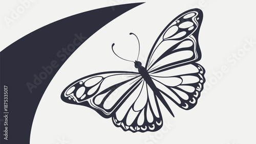 Elegant butterfly illustration with curved design element