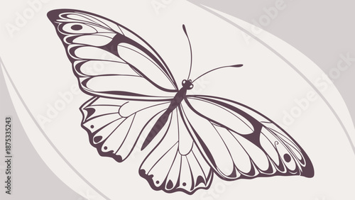 Beautiful butterfly illustration with elegant wings and delicate details