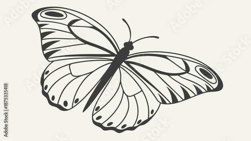 Beautiful butterfly illustration with detailed wings and body