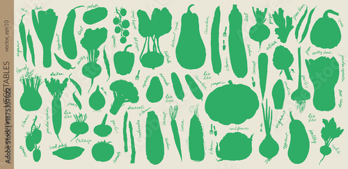 Hand drawn vegetable silhouettes set. Tomato, cucumber, bell pepper, zucchini, pumpkin, butternut, squash, corn, onion, radish, potato, green beans, asparagus, artichoke, cabbage, kohlrabi.