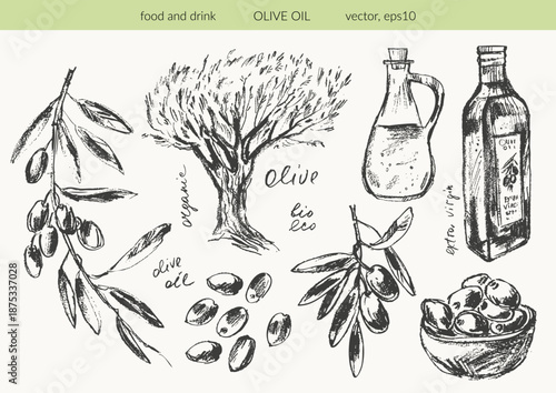 Hand drawn olive branches with leaves and berries ink sketches. Olive tree, bottle, olives. For food and drink background, olive oil labels and packaging.