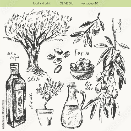 Hand drawn olive branches with leaves and berries ink sketches. Olive tree, bottle, olives. For food background, menu design.