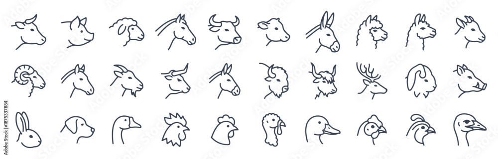 Fototapeta premium Farm animal head line icon set. Cow, pig, goat, horse, rabbit, rooster, sheep, llama, turkey outline vector illustrations. Signs for livestock, pets and domestic creature.
