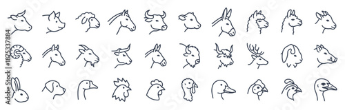 Farm animal head line icon set. Cow, pig, goat, horse, rabbit, rooster, sheep, llama, turkey outline vector illustrations. Signs for livestock, pets and domestic creature.