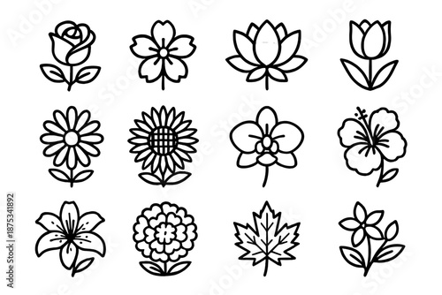 Floral Icon Collection. National Flowers set in outline vector style : rose, cherry blossom, lotus, tulip, daisy, sunflower, orchid, hibiscus, lily, marigold, maple leaf, jasmine