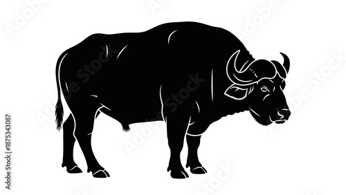 Majestic Silhouette of a Water Buffalo Standing Tall.