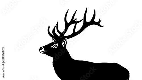Majestic Stag Silhouette with Impressive Antlers on White.