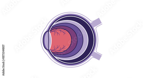 Stylized cross-section diagram of the human eye illustrating its internal anatomical structures and layers, including the lens and retina.