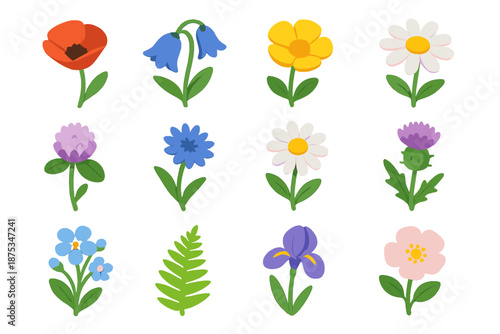 Wildflower Icon Collection. Wild Blooms set in isometric flat vector : poppy, bluebell, buttercup, chamomile, clover, cornflower, daisy, thistle, forget-me-not, fern, iris, wild rose