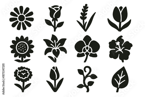 Bold Dried Flower Icons. Dried Flowers icon set in silhouette bold style. Contain daisy, rose, lavender, tulip, sunflower, lily, orchid, hibiscus, marigold, bud, vine, leaf
