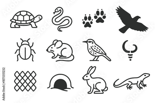 Desert Wildlife Icons. Arid Wildlife set in outline vector style: desert tortoise, sand snake, fox tracks, hawk silhouette, beetle icon, dune mouse, cactus wren
