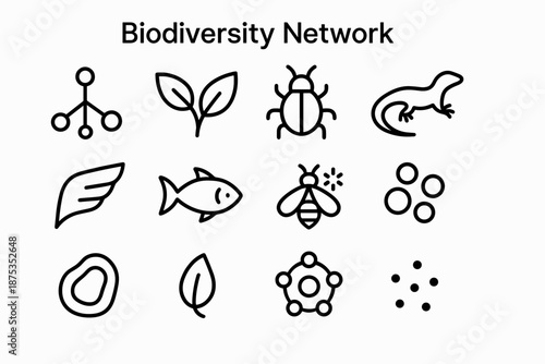 Biodiversity Icon Network. Biodiversity Network set in outline vector style: branching lines, leaf duo, insect outline, reptile curve, bird wing mark, aquatic