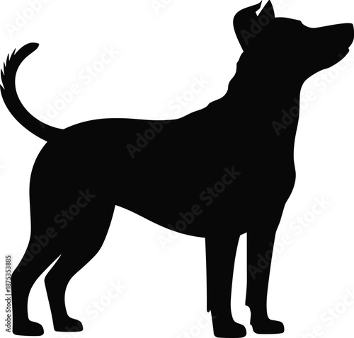 Silhouette, dog, standing, alert, posture, black, minimalist, pet, animal, canine, tail, ears, breed, profile, motion, shape, attention, design, expression, stance