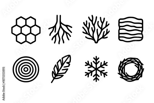 Nature's Intricate Patterns. Natural Structure set in outline vector style: honeycomb cell, branching root, coral pattern, layered rock, tree rings, feather vane, snowflake pattern, woven nest