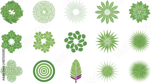 Green Tree and Plant Top View Icon Vector Set with Abstract Botanical Shapes for Landscape Maps, Garden Plans, Games, and Nature Design Projects