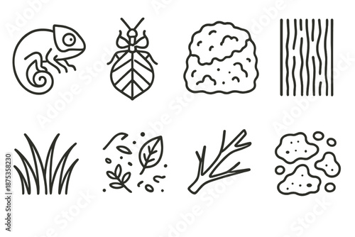 Nature Camouflage Icons. Nature Camouflage set in outline vector style: chameleon figure, leaf insect, mossy rock texture, bark mimic pattern, sandy tones patch