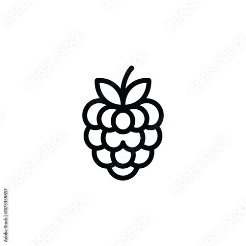 a black and white drawing of a raspberry with leaves