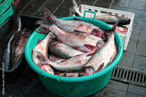 A plastic crate brimming with freshwater fish at the marketplace