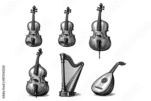 Vintage musical instrument collection: violin, cello, harp, lute in engraved style