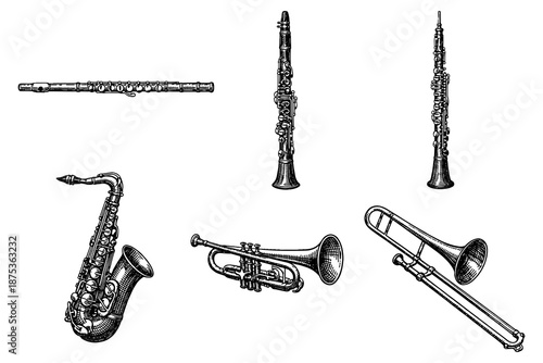 Vintage musical instruments collection in engraved style