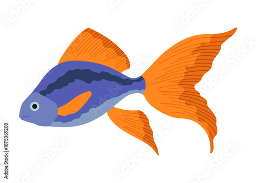 Aquarium fish. Beautiful underwater character. Decorative colored freshwater fish in flat cartoon design. Vector illustration, isolated animal on white