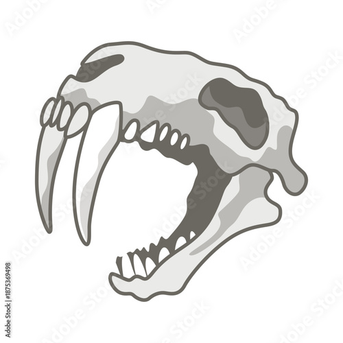 Dinosaurs skeletons parts underground. Fossils, bones of prehistoric reptiles and ammonites