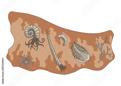 Era of Earth history. Scene with various simplest animals in soil layer. Vector primary buried underground