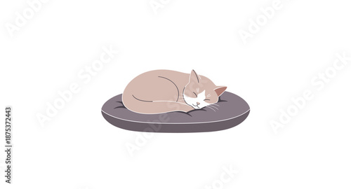 Cute cartoon cat sleeping peacefully curled up on a soft round bed