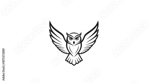 Stylized Owl Illustration with Open Wings on White.