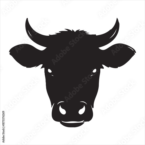 black and white cow