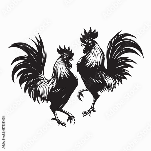 Two Roosters Fighting Vector Illustration Isolated On White Background 
