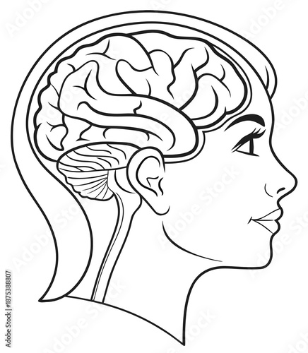 Brain icon within a human head, thin line illustration.