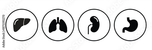 Set of human internal organ vector icons. Liver, kidneys, stomach and lungs. Vector 10 Eps.