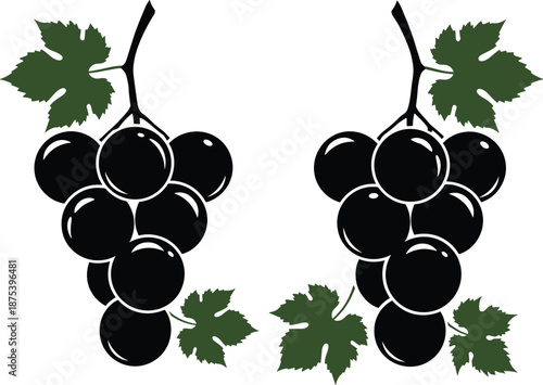 Black grape bunch vector illustration, green leaves decorative design, stylized fruit artwork, vineyard harvest concept, healthy food symbol, organic agriculture theme, wine production element