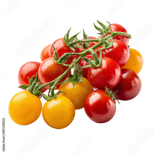 tomatoes on a vine
