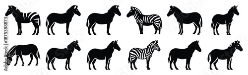 zebra silhouette vector icon set, black clipart collection, Animal silhouette icons illustration graphic design