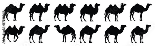 camel silhouette vector icon set, black clipart collection, Animal silhouette icons illustration graphic design