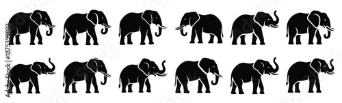 elephant silhouette vector icon set, black clipart collection, Animal silhouette icons illustration graphic design