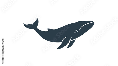 Majestic Blue Whale Swimming Gracefully in the Ocean Depths.